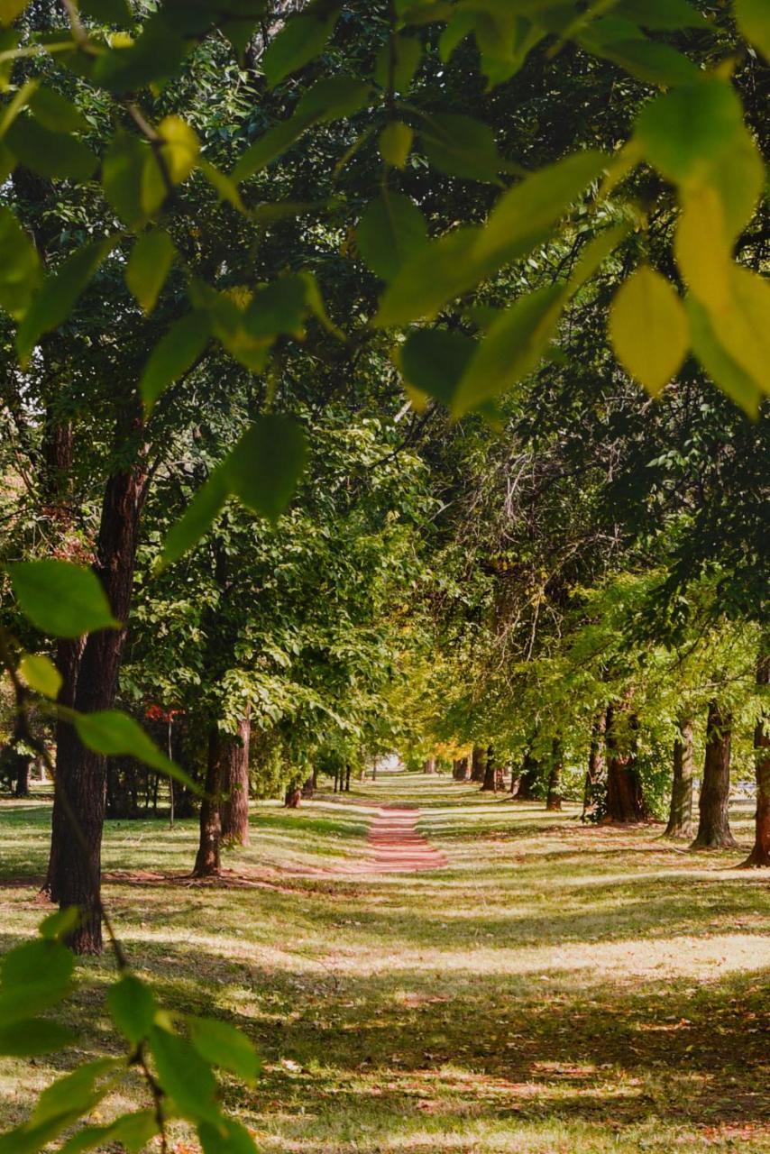 Centar Lux 3 Lägenhet Zrenjanin Exteriör bild